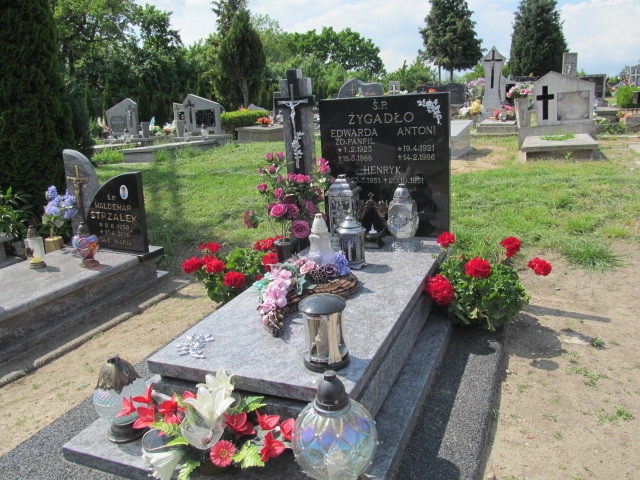 Grób Leontyna Biszczanik
