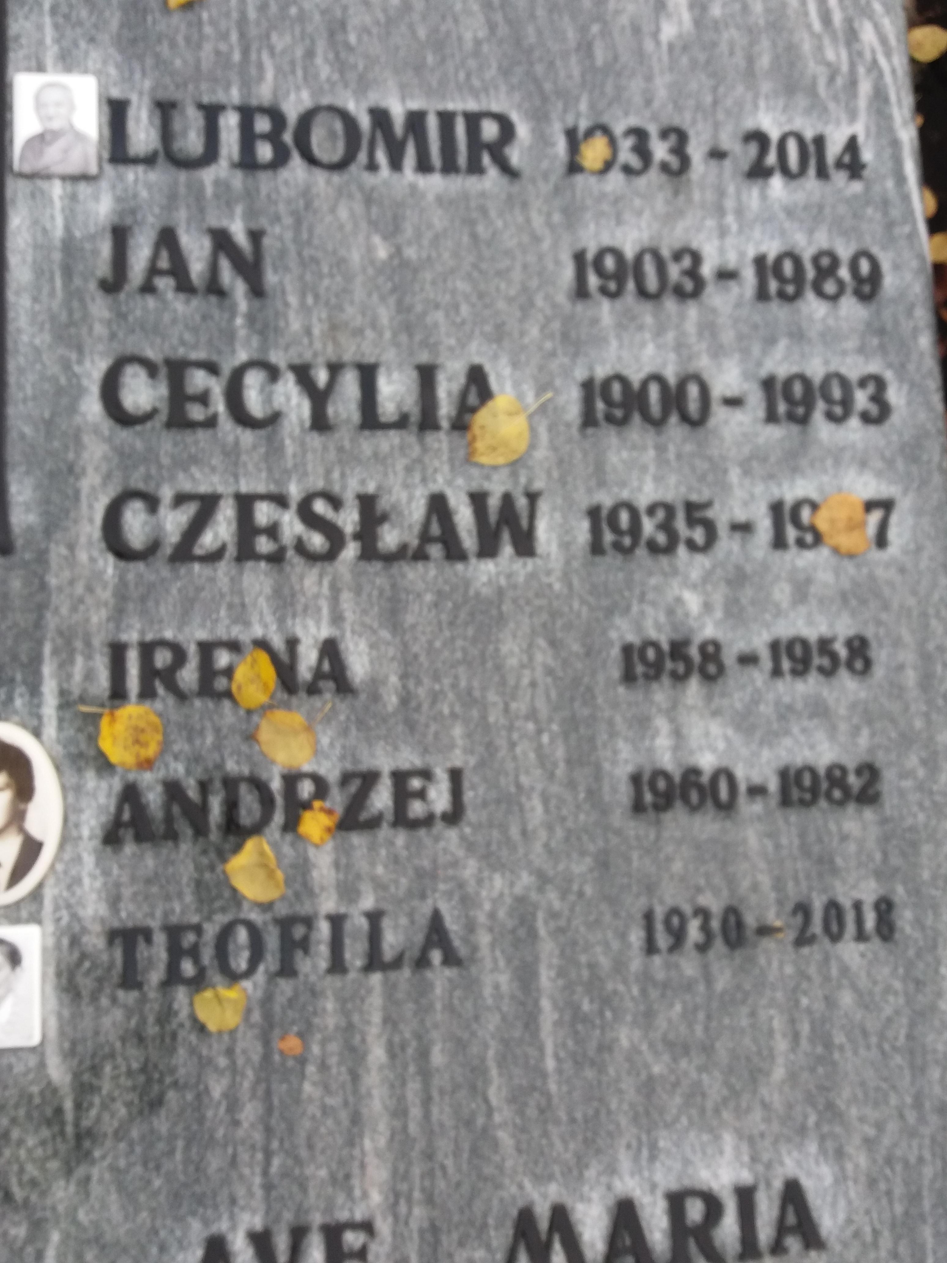 Zdjęcie grobu