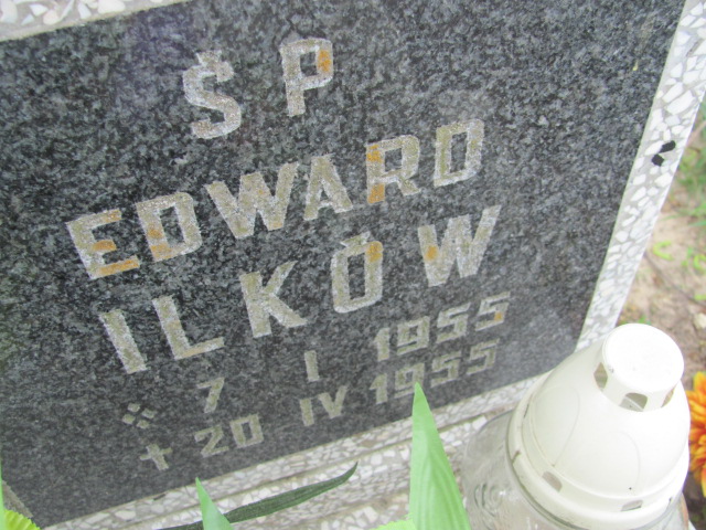 Edward Ilków 1955 Debrzno - Grobonet - Wyszukiwarka osób pochowanych